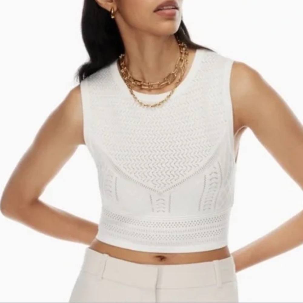 Aritzia Babaton Pointelle Sweater Knit Crop in white